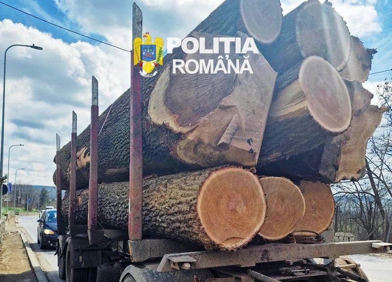 politia 05