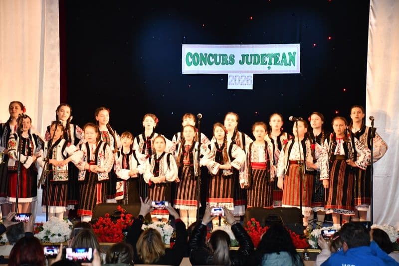 Concurs judetean_palate si cluburi_10