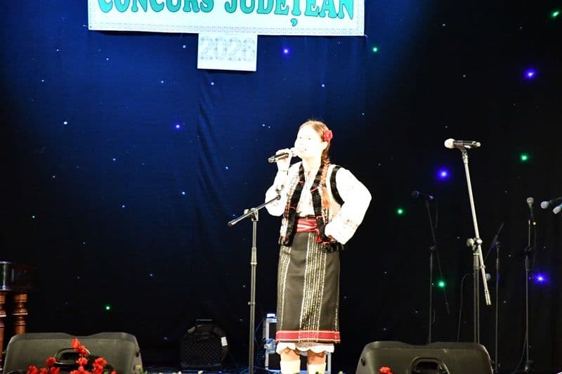 Concurs judetean_palate si cluburi_15
