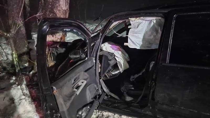 Accident Padureni_