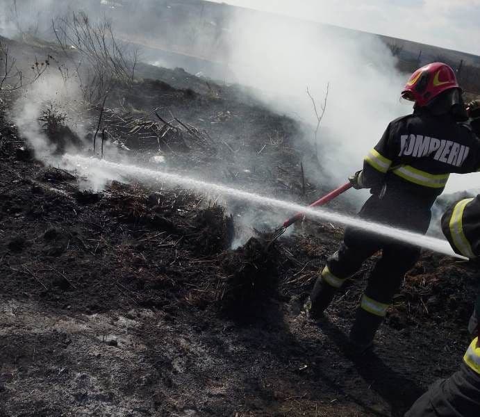 Incendiu vegetatie_ (3)