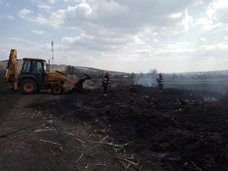 Incendiu vegetatie_