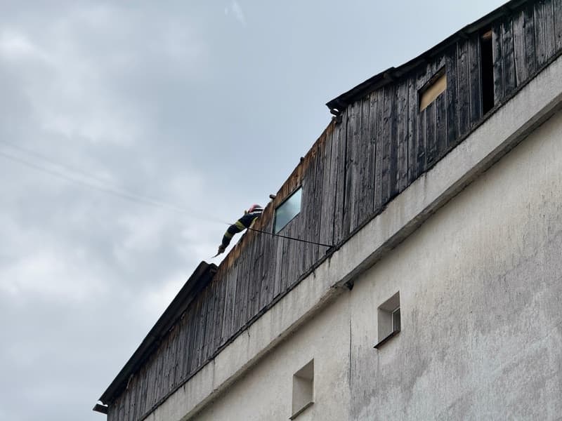 Image 15