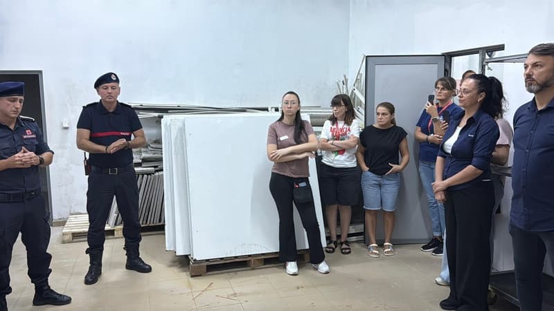 Image 7
