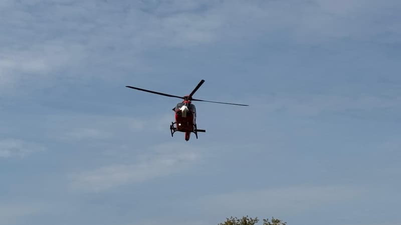 Image 9