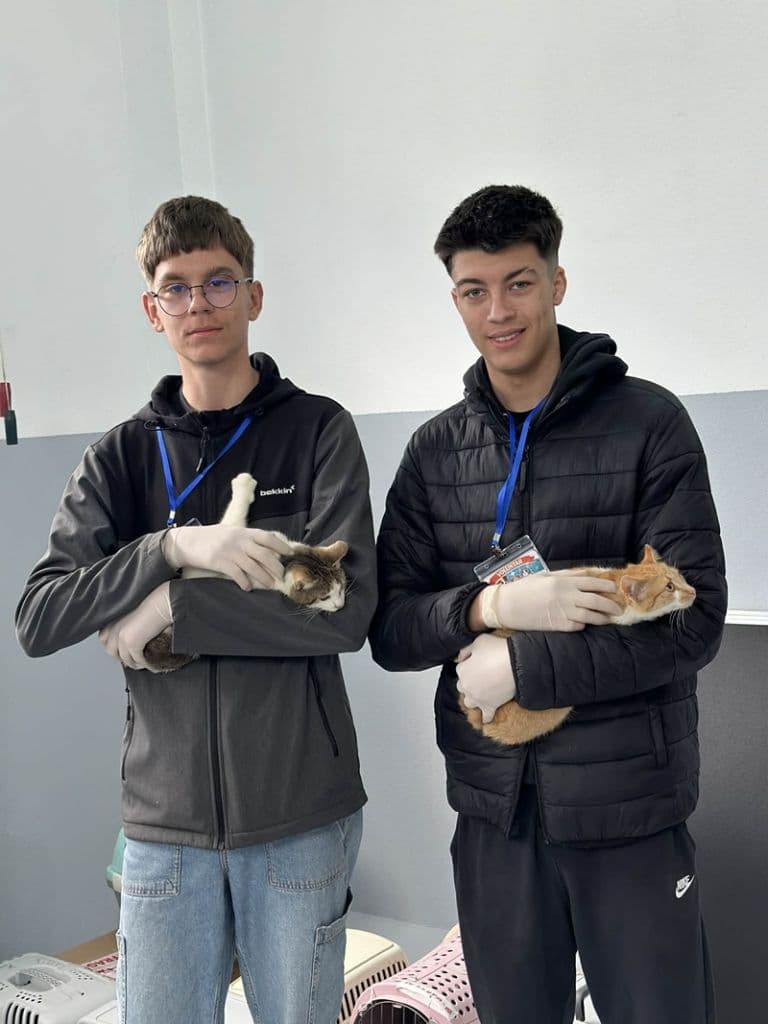 sterilizari14