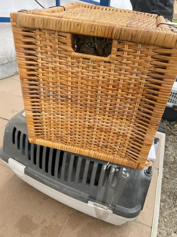 Image 13