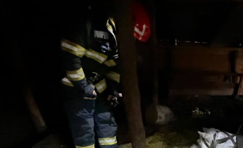 Cal salvat de pompieri după ce a căzut într-un beci din comuna Broscăuți