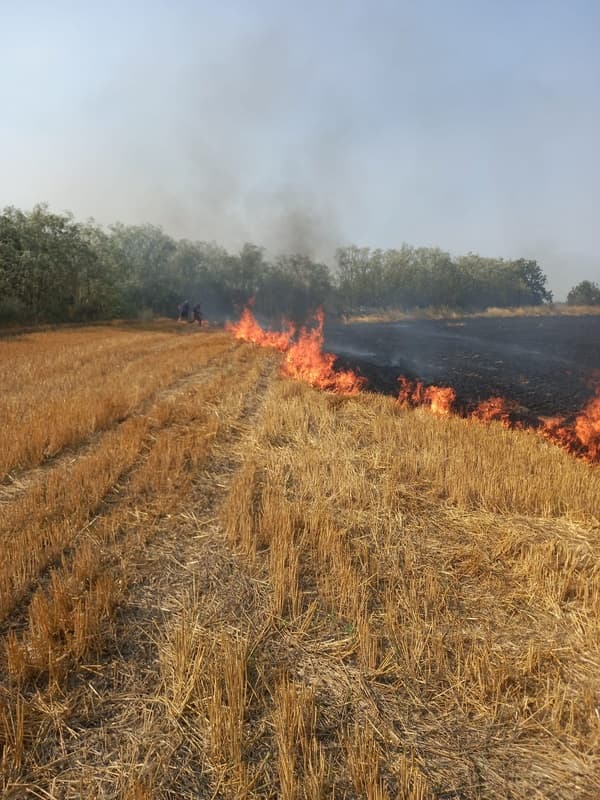 Incendiu pe circa 50 de hectare izbucnit de la o lumânare aprinsă într-un cimitir