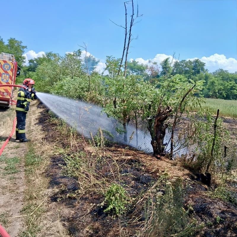 Trei incendii de vegetație stinse în ultimele ore de pompieri la Mihălășeni, Stâncești și Dorohoi