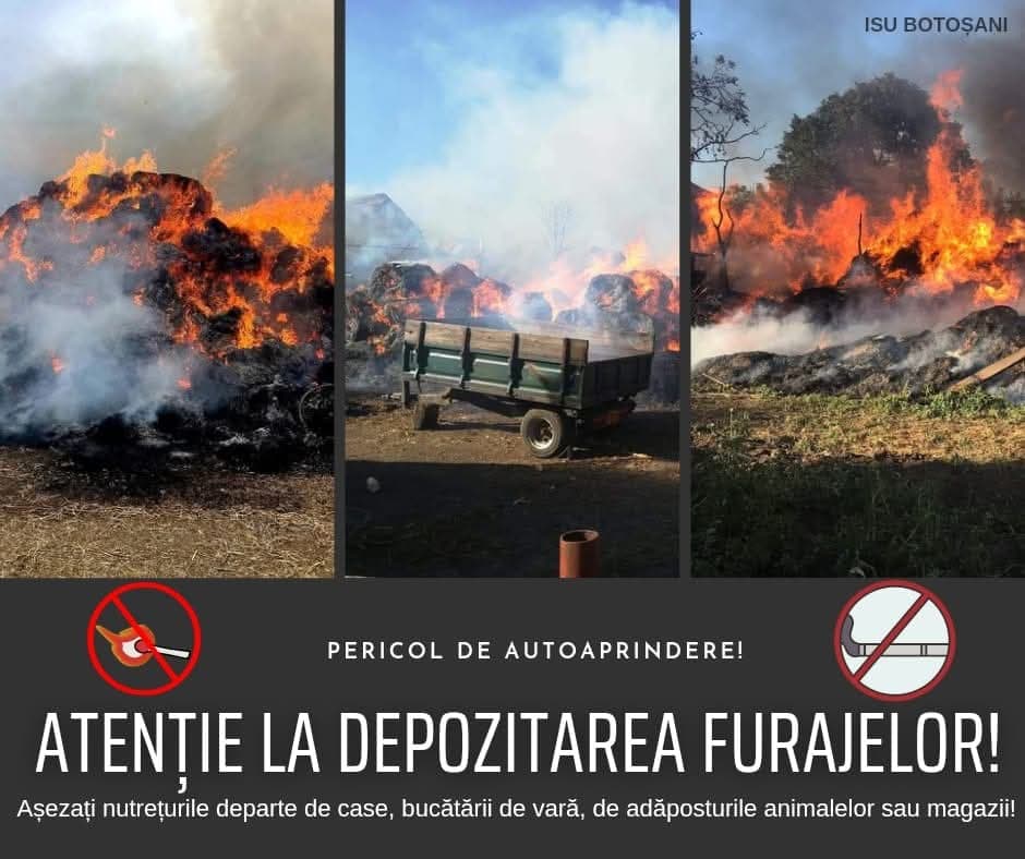 Atenție cum depozitați furajele! Există pericolul de încălzire și autoaprindere