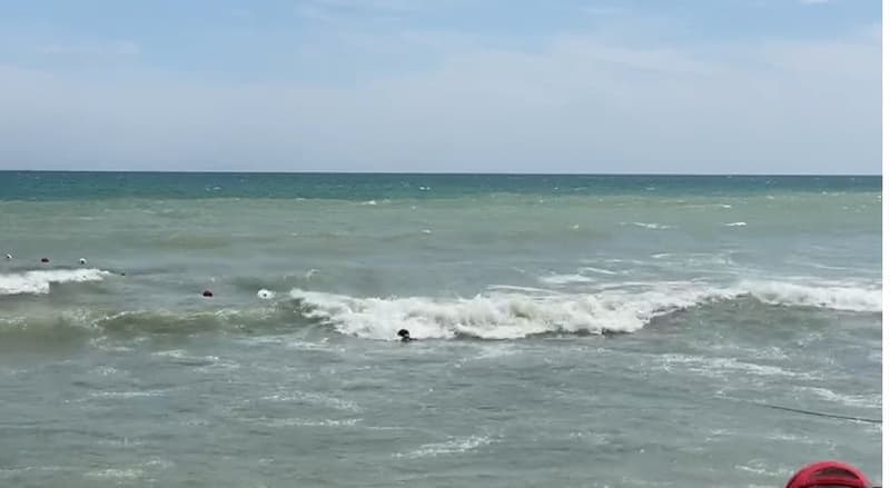 Tânărul de 22 de ani din Botoșani, găsit fără viață după 10 ore. A intrat în mare, într-o zonă fără salvamari, și a fost luat de valuri