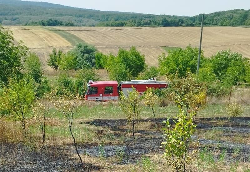 Trei incendii de vegetație uscată la un pas să se extindă la locuințe în Dorohoi, Cristești și Tudor Vladimirescu