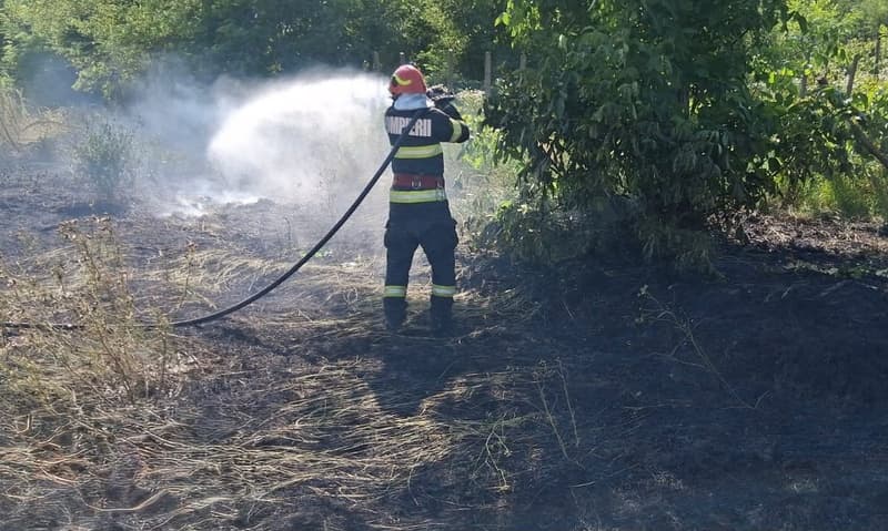 Pompierii mobilizați pentru stingerea unui incendiu de vegetație uscată la Știubieni