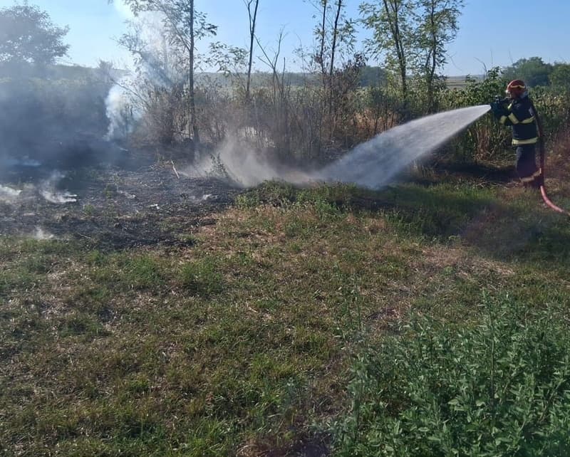 Trei locuințe și mai multe culturi de porumb și floarea-soarelui, salvate de pompieri din calea flăcărilor