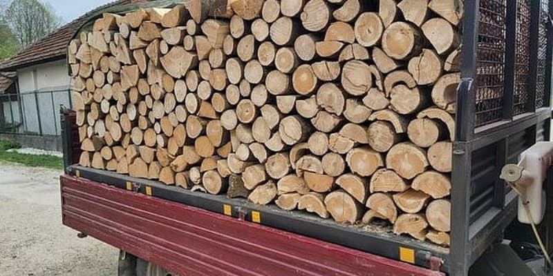 Sancțiuni de 6.000 de lei și material lemnos confiscat în cadrul unei acțiuni a polițiștilor din Dorohoi