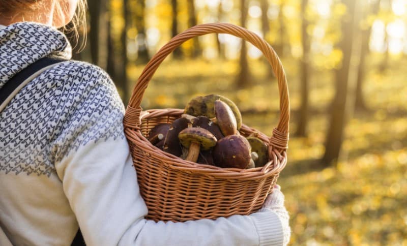 Alimentul care reduce riscul de cancer de sân cu 60%