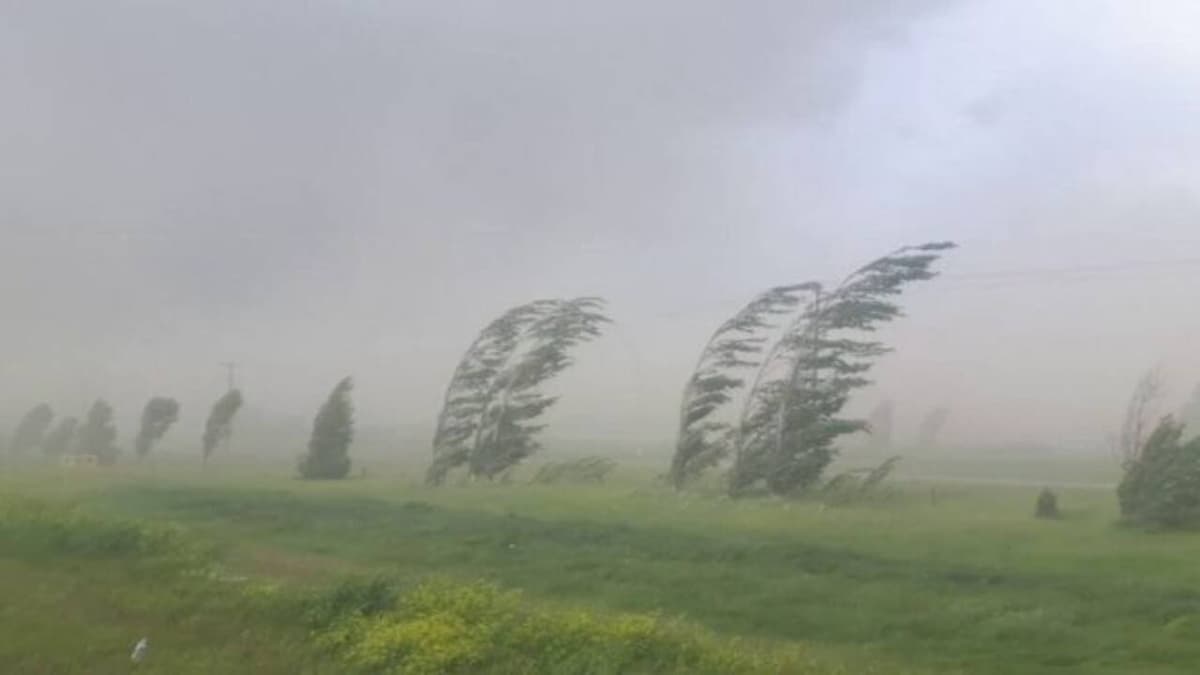 Meteorologii au actualizat prognoza și au emis un cod galben de vânt pentru județul Botoșani