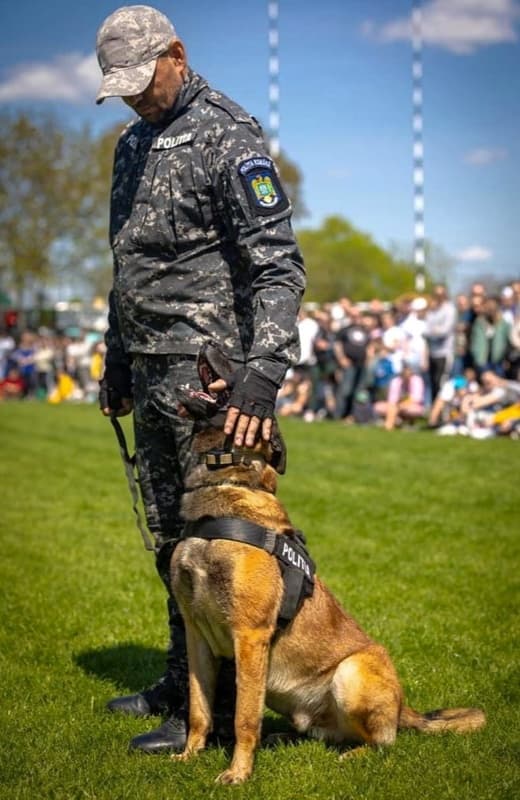 Ziua Internațională a Câinelui- Apel la responsabilitate al polițiștilor Biroului pentru Protecția Animalelor