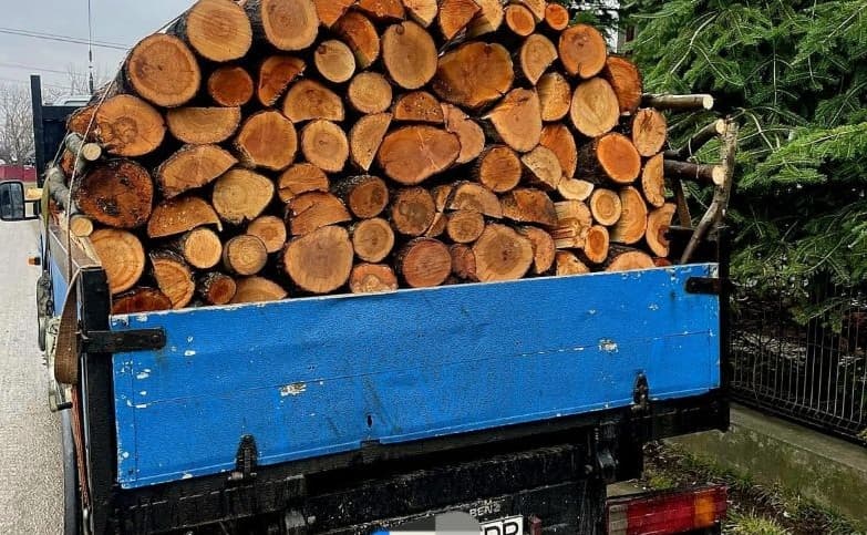 Material lemnos confiscat și amendă în valoare de 2.000 de lei,
