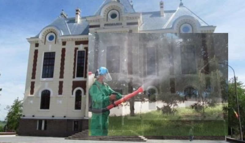 Primăria Dorohoi: Anunț privind execuția lucrărilor de dezinsecție în spațiile verzi