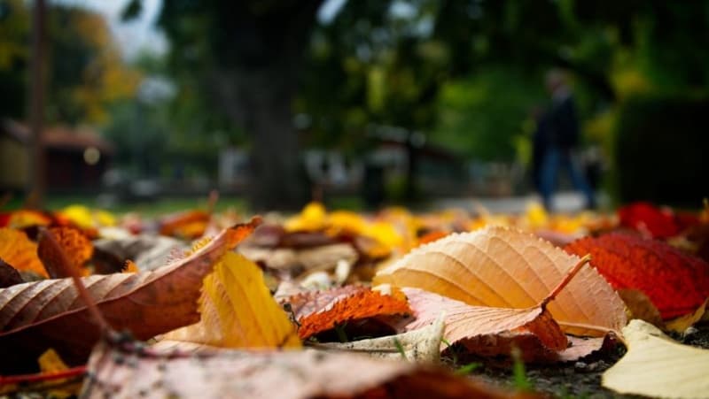 Toamna aduce o evoluție surprinzătoare a temperaturilor. Prognoza ANM până pe 19 octombrie