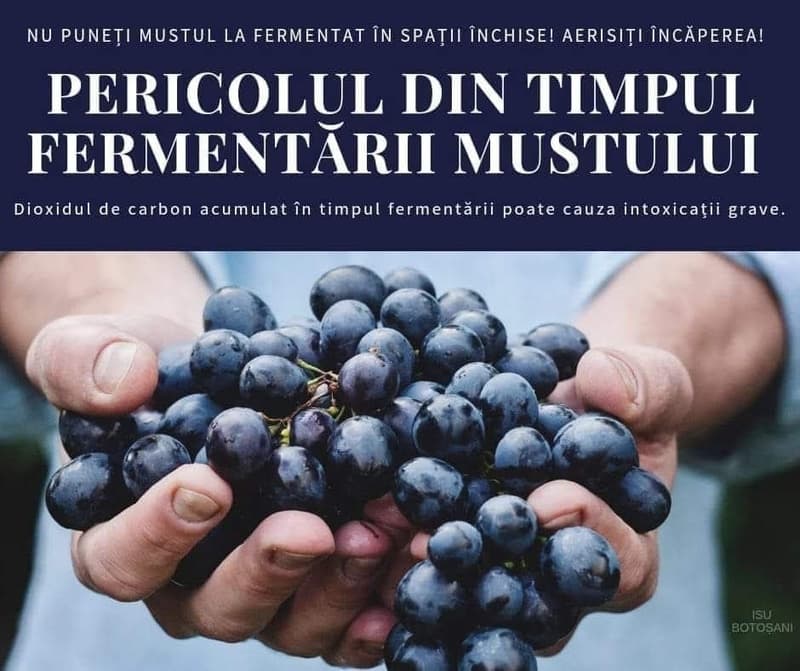 Atenție la vinul aflat în proces de fermentare!