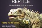 Expozitie reptile