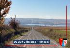 DJ 294C, Borolea - Hanesti