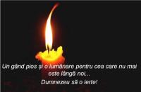 Și-a luat aripi spre cer ANA GRIGORE 