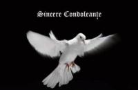 Colectivul Școlii „Spiru Haret” Dorohoi deplânge dispariția prematură a colegului, prof Marcel Angheluș