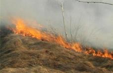 Peste 20 de pompieri mobilizați pentru stingerea unor focuri scăpate de sub control