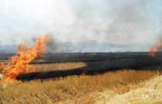 Peste opt hectare și două tone de furaje mistuite de flăcări