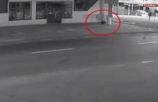 Autorităţile din Suceava sunt în alertă. Un pui de urs se plimbă liber pe străzi - VIDEO