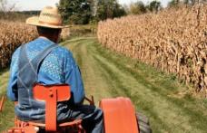 G.A.L. Codrii Herței: Măsura 121 „Modernizarea exploatațiilor agricole”