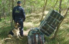 Ţigări de contrabandă de peste 48.000 de lei confiscate la frontiera de est - FOTO