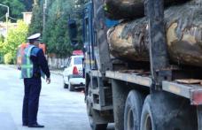 Ghinion pentru un botoșănean! S-a ales cu amendă și materialul lemnos confiscat!