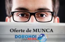 Peste 550 de locuri de muncă vacante în această săptămână, în judeţul Botoşani