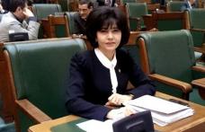 Federovici acuză PDL-PNL că acționează separat în Parlament pentru drumul Botoșani-Târgu Frumos
