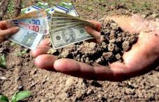 Anunț important! Se începe plata despăgubirilor pentru secetă. La nivelul județului Botoșani au fost depuse aproximativ 9000 de cereri