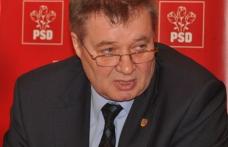Senatorul Gheorghe Marcu | Declaraţia de presă cu privire la eutanasierea câinilor comunitari
