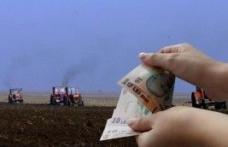  Luni 16 mai, ultima zi în care agricultorii mai pot depune cereri de subvenţie