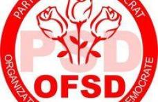  Simpozion organizat de Femeile Social Democrate dedicat Zilei internaţionale a Familiei