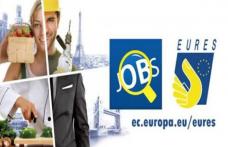 Peste 30 de locuri de muncă în Germania prin Rețeaua EURES pentru persoanele calificate în diverse meserii