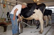 APIA Botoșani aduce la cunoștinta producătorilor agricoli condițiile de acordare a unor ajutoare excepţionale