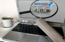 AJOFM Botoșani anunță locurile de muncă și programele de formare profesională disponibile