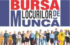 Peste 500 locuri de muncă oferite până la această oră la bursa generală a locurilor de muncă din acest an!