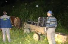 Contrabandă cu căruţa pe malul Prutului 