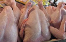 Pui ucraineni crescuţi în fermele de lângă Cernobîl, invadează piaţa europeană
