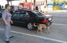 Cei doi tineri prinşi cu droguri la vamă au fost arestaţi preventiv pentru 30 de zile – VIDEO/FOTO